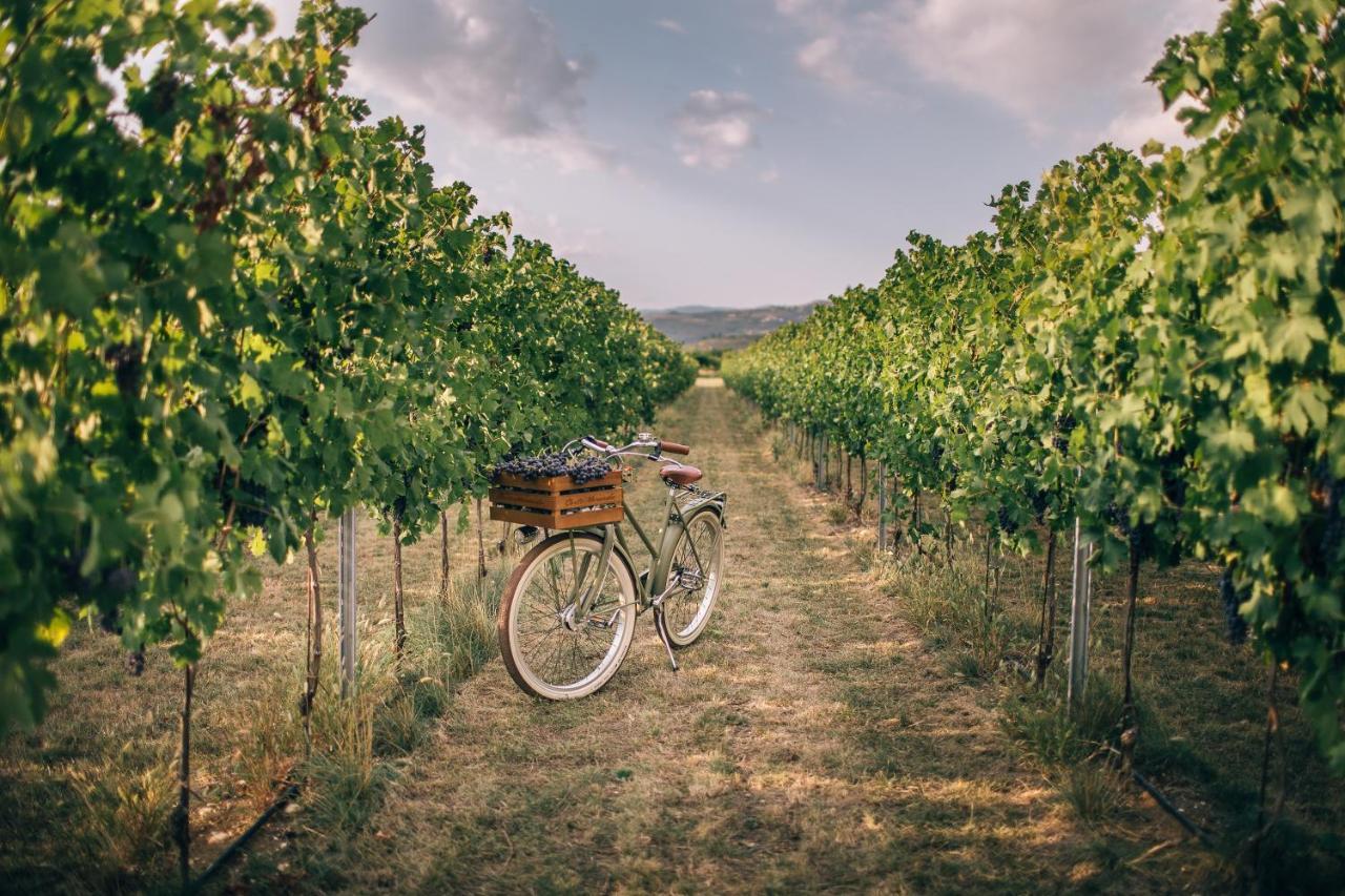 Agriturismo Corte Moranda Verona Eksteriør bilde