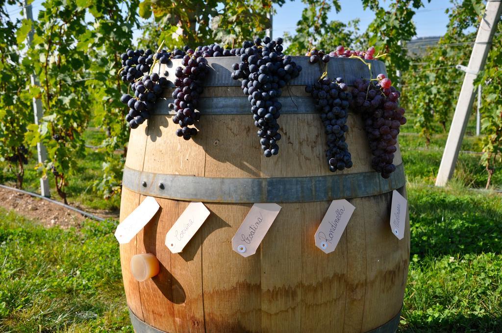 Agriturismo Corte Moranda Verona Eksteriør bilde